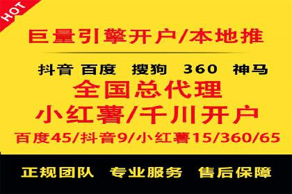 行业报告：专业SEM托管的成功实践与挑战